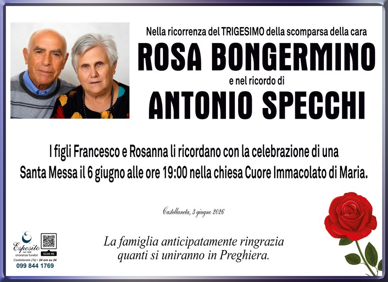 Rosa Bongermino