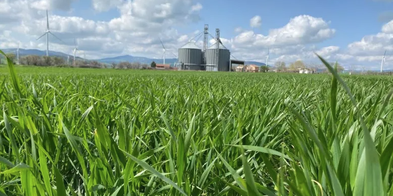 Progetto SODOSOST: Innovazione nella cerealicoltura pugliese