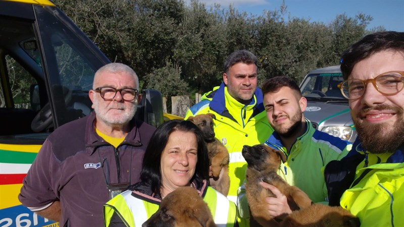 Cuccioli tratti in salvo