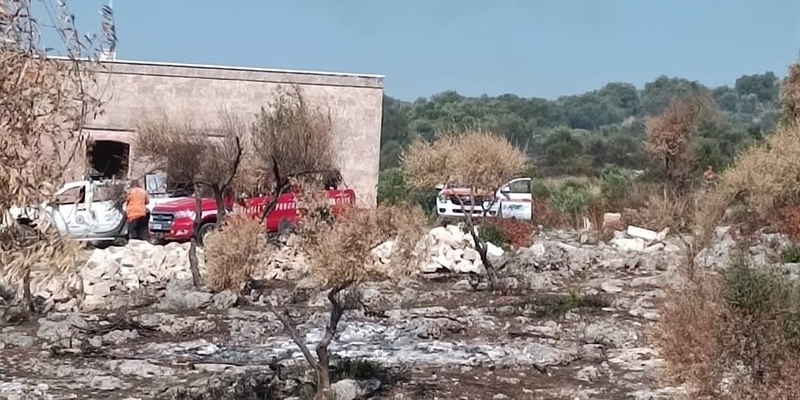 Fiamme a Laterza: bruciano ettari di bosco e macchia mediterranea