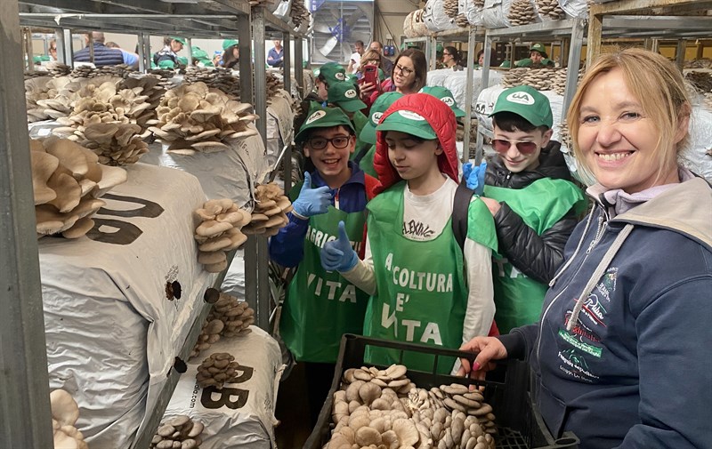 Alla scoperta del mondo dei funghi: torna "Scuola in Fattoria"