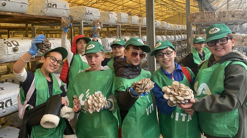 Alla scoperta del mondo dei funghi: torna "Scuola in Fattoria"