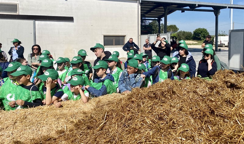 Alla scoperta del mondo dei funghi: torna "Scuola in Fattoria"
