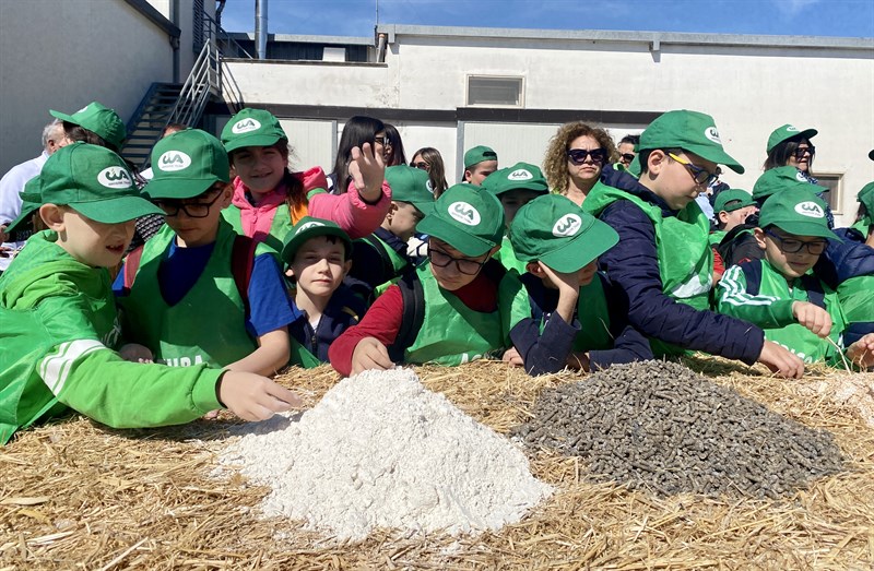 Alla scoperta del mondo dei funghi: torna "Scuola in Fattoria"