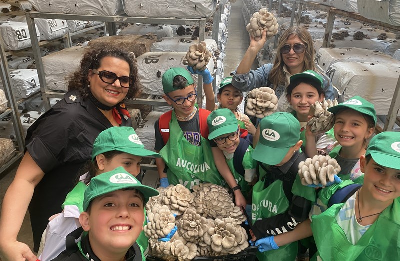 Alla scoperta del mondo dei funghi: torna "Scuola in Fattoria"