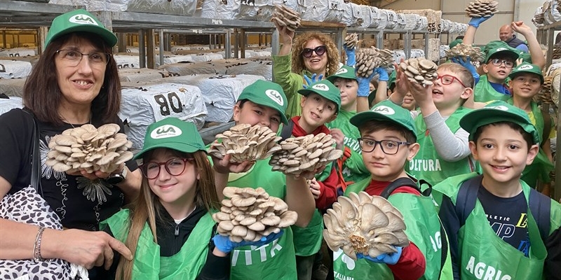 Alla scoperta del mondo dei funghi: torna "Scuola in Fattoria"