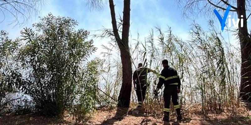 Fiamme all’ingresso di Castellaneta Marina: operazioni di spegnimento in corso