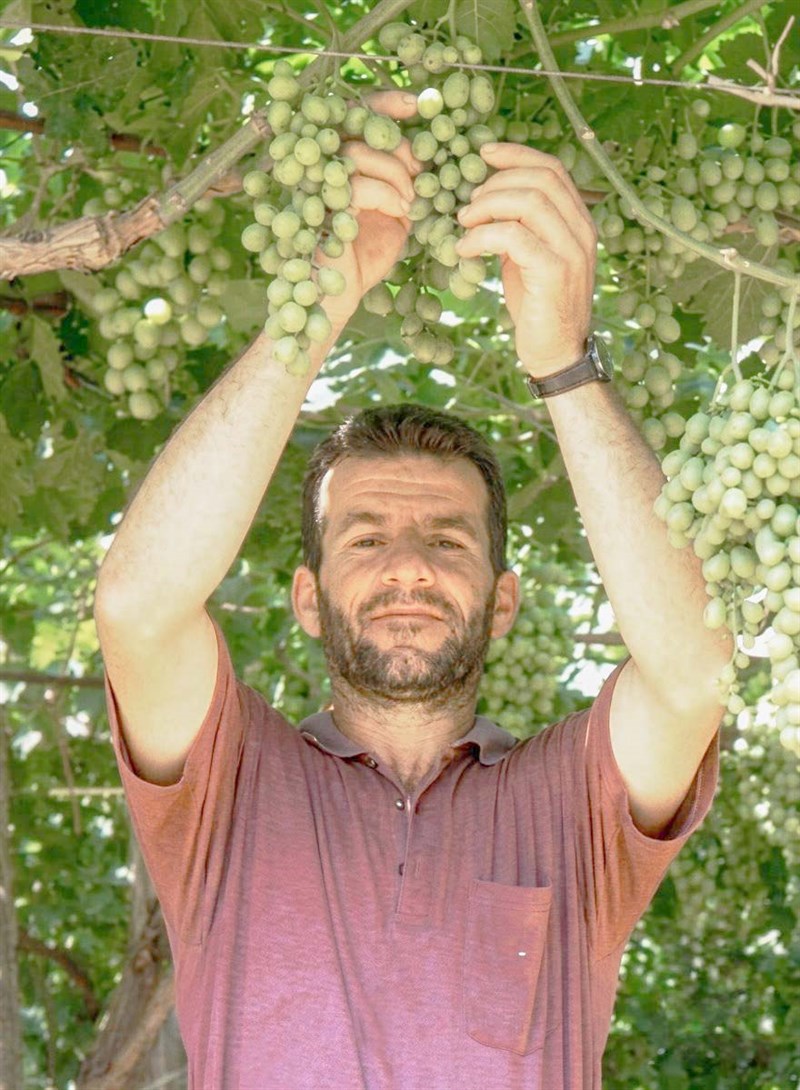 Giuseppe Nardò