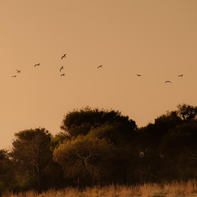 "Ricordi di Sale": fotografia d’autore sulla spiaggia di Castellaneta Marina