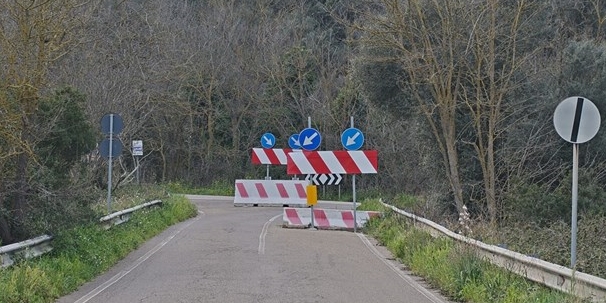 Provinciale 12, la Cia alza la voce: «20 anni di silenzio, ora basta!»