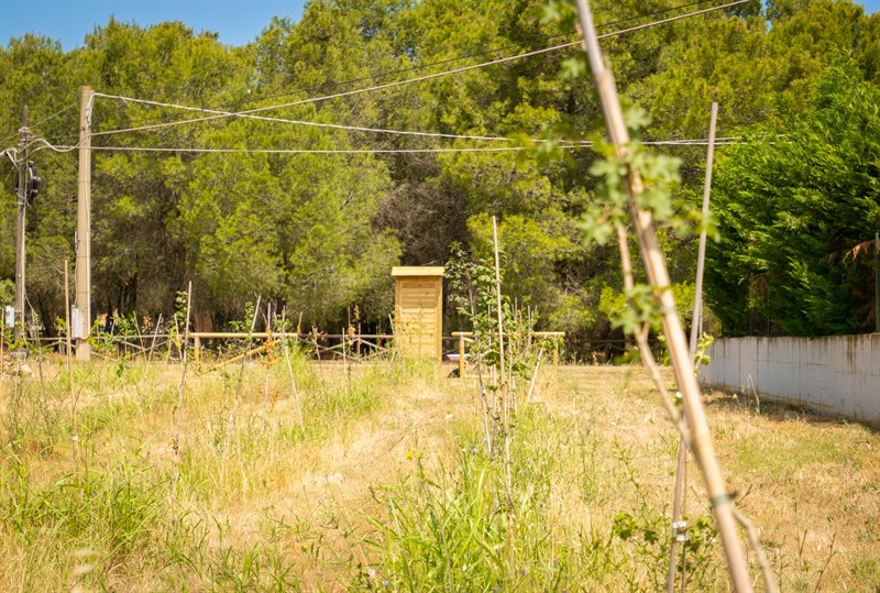 Inaugurato a Ginosa un nuovo bosco urbano realizzato grazie al sostegno di FINESTRENURITH