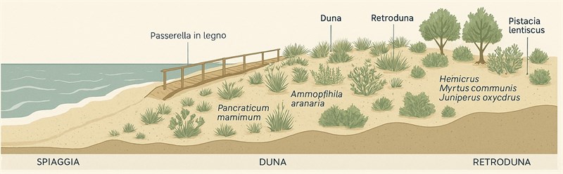 Canale della foce del fiume Patemisco