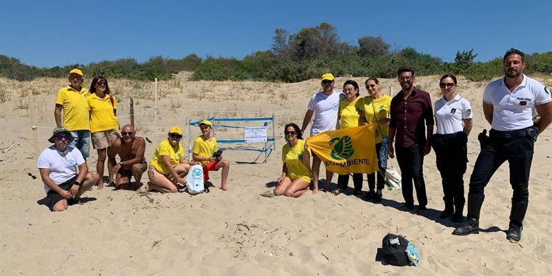 Rinvenuto un nido di tartaruga "caretta caretta" sulla spiaggia di Palagiano