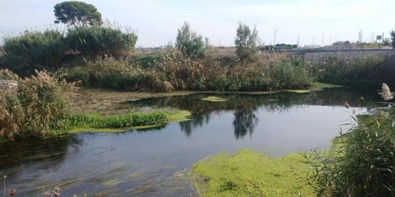 Dissalatore sul fiume Tara, aggiornati i lavori della V Commissione per audire il mondo agricolo e il commissario del consorzio