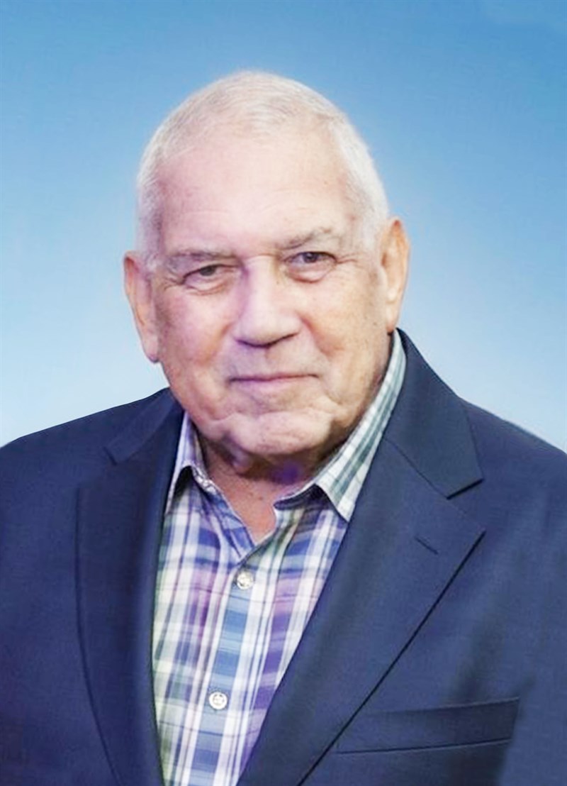 Domenico Luisi