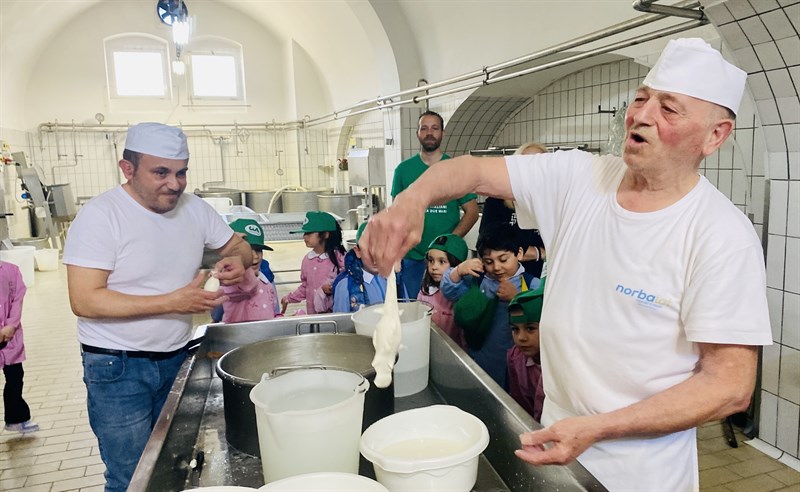 Latte e derivati, dal pascolo al piatto: prosegue “Scuola in Fattoria”