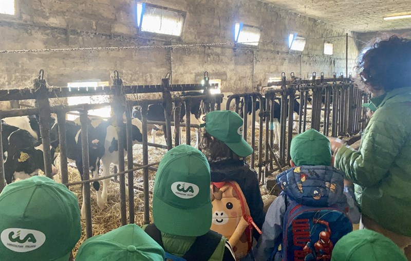 Latte e derivati, dal pascolo al piatto: prosegue “Scuola in Fattoria”