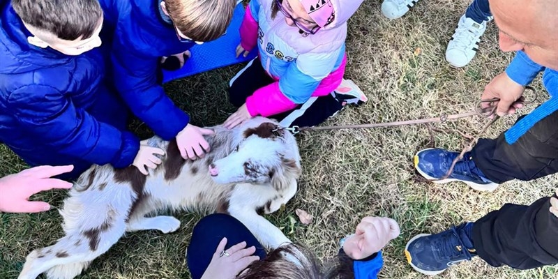 Massafra pronta ad accogliere le famiglie per l'evento "Oltre il blu"