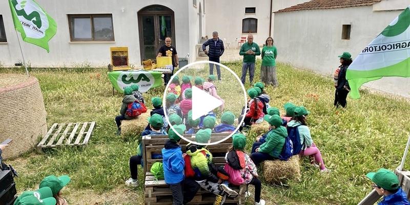 Scuola in Fattoria: alla scoperta delle api, sentinelle della biodiversità