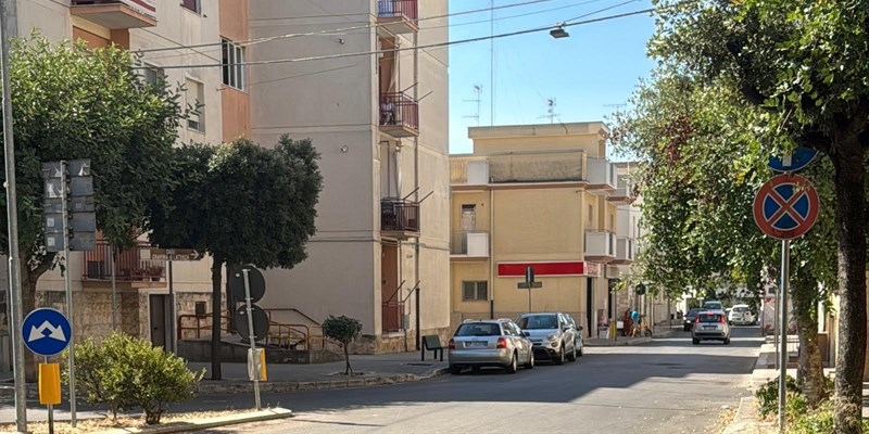Alberi abbattuti in via Monte Ortigara, scoppia la polemica