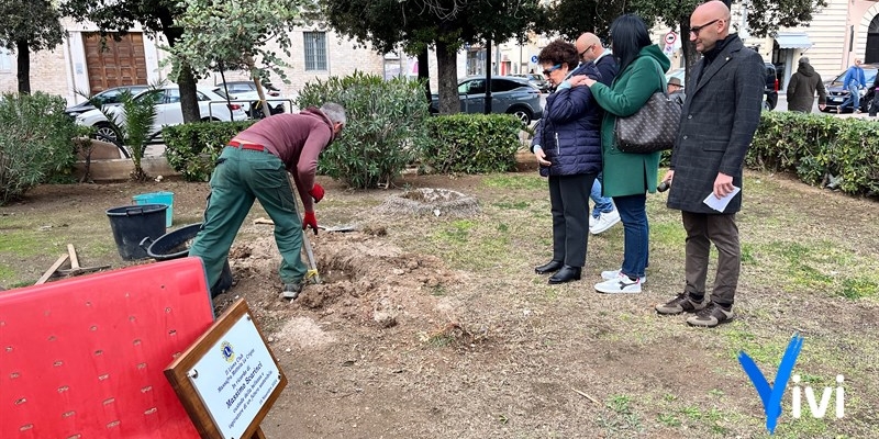 Un albero per ricordare Massimo Scarinci