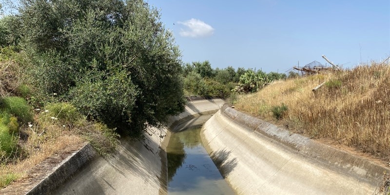 Cattiva gestione Diga San Giuliano: a Palagianello canali a secco e uva a rischio
