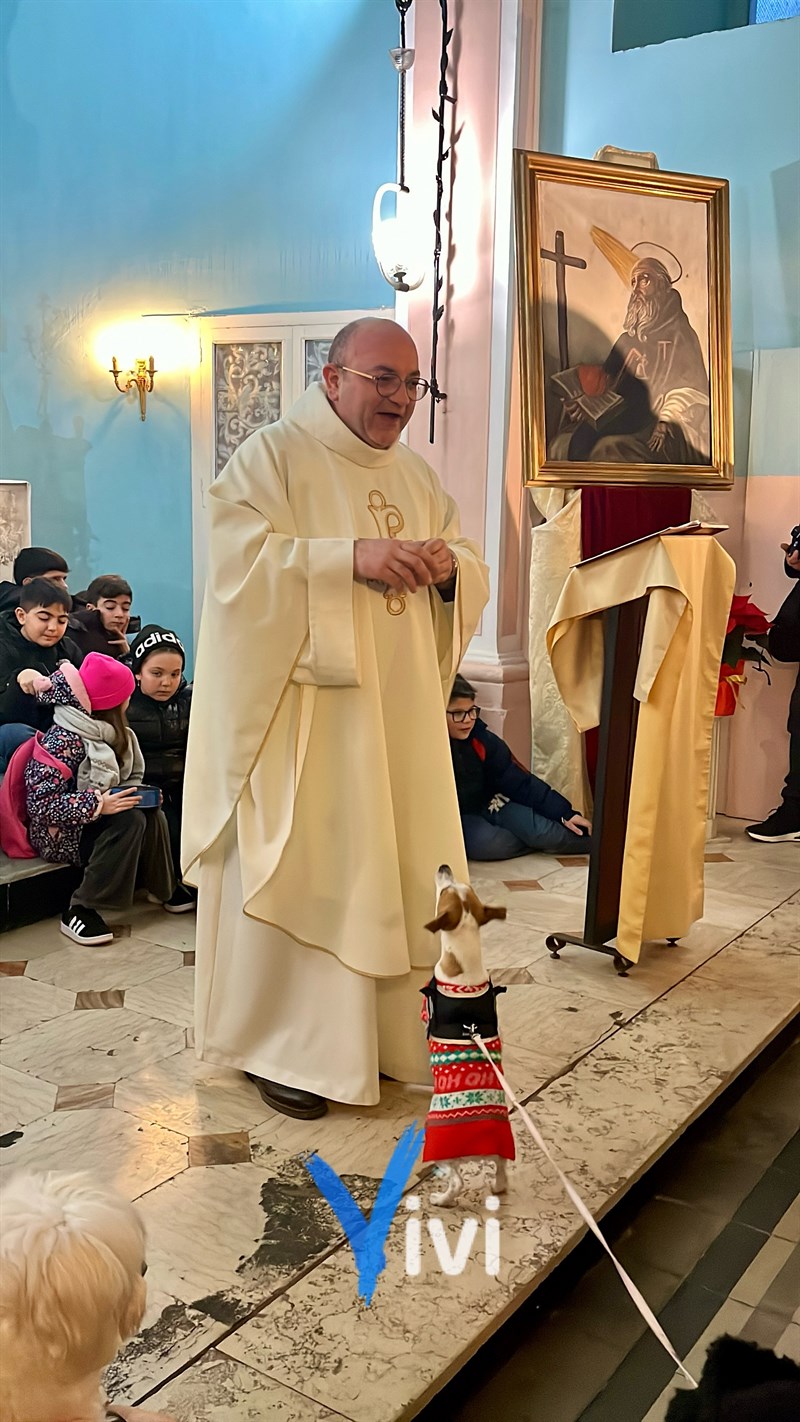 Benedizione degli animali: al via il Carnevale di Massafra