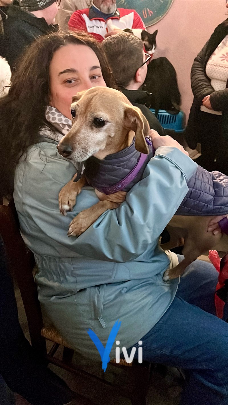 Benedizione degli animali: al via il Carnevale di Massafra