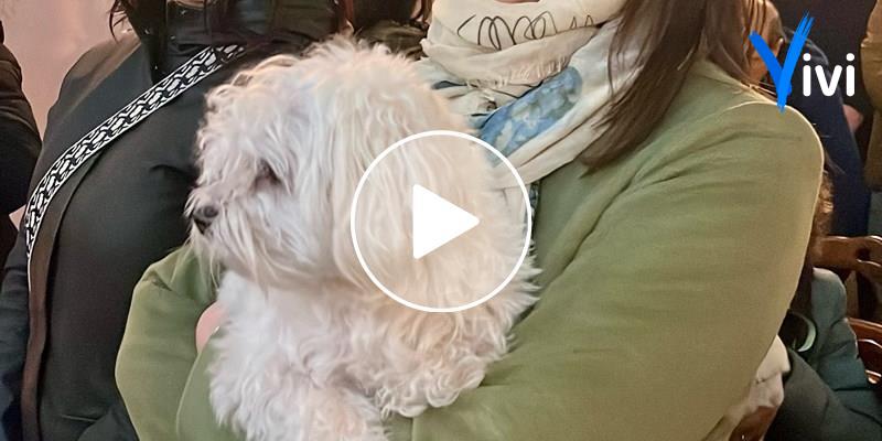 Benedizione degli animali: al via il Carnevale di Massafra