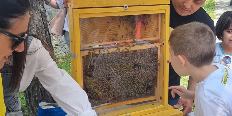 Con Legambiente torna la Giornata Mondiale delle Api: una festa con laboratori, giochi e degustazioni per celebrare la biodiversità