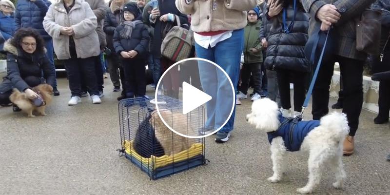 Sant’Antonio Abate: benedizione degli animali anche a Castellaneta