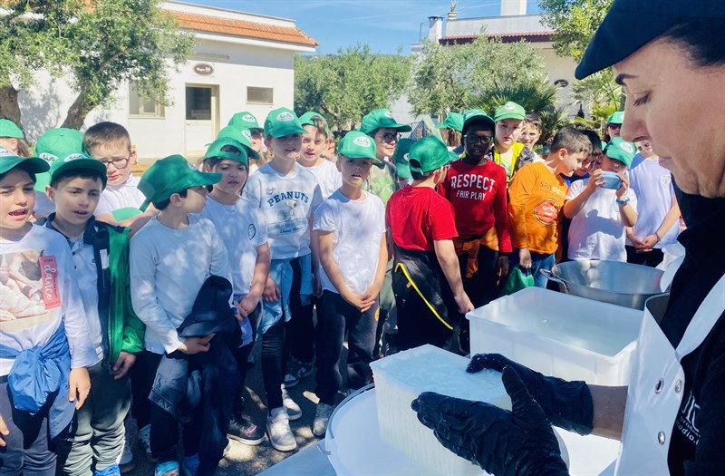 “Scuola in Fattoria”, a “Masserie Amodio” la lezione ha il sapore di libertà