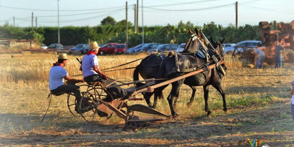 Grano e lavori antichi