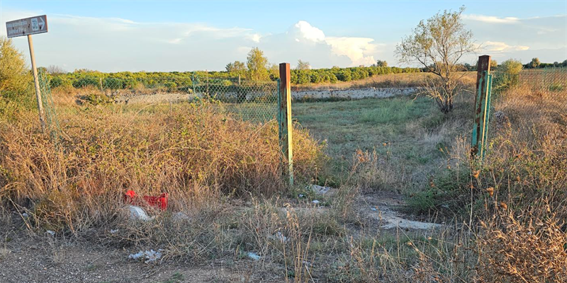 "Puliamo il mondo sulla Via Appia": Palagiano è pronta