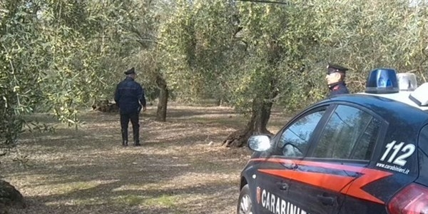 Carabinieri in campagna 