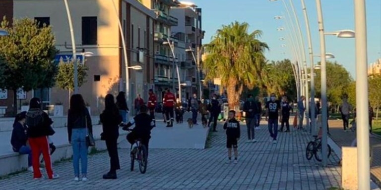 Giornata nazionale degli alberi: a Palagianello un albero per ogni nato