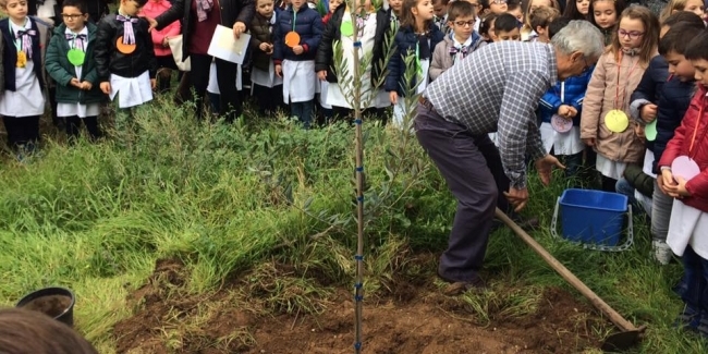 Palagianello onora la Festa degli Alberi