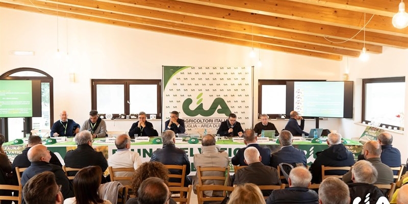 Evento cinghiali a Castellaneta