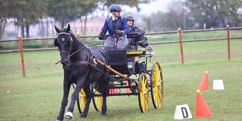 Guglielmo conquista il secondo al campionato italiano di Attacchi