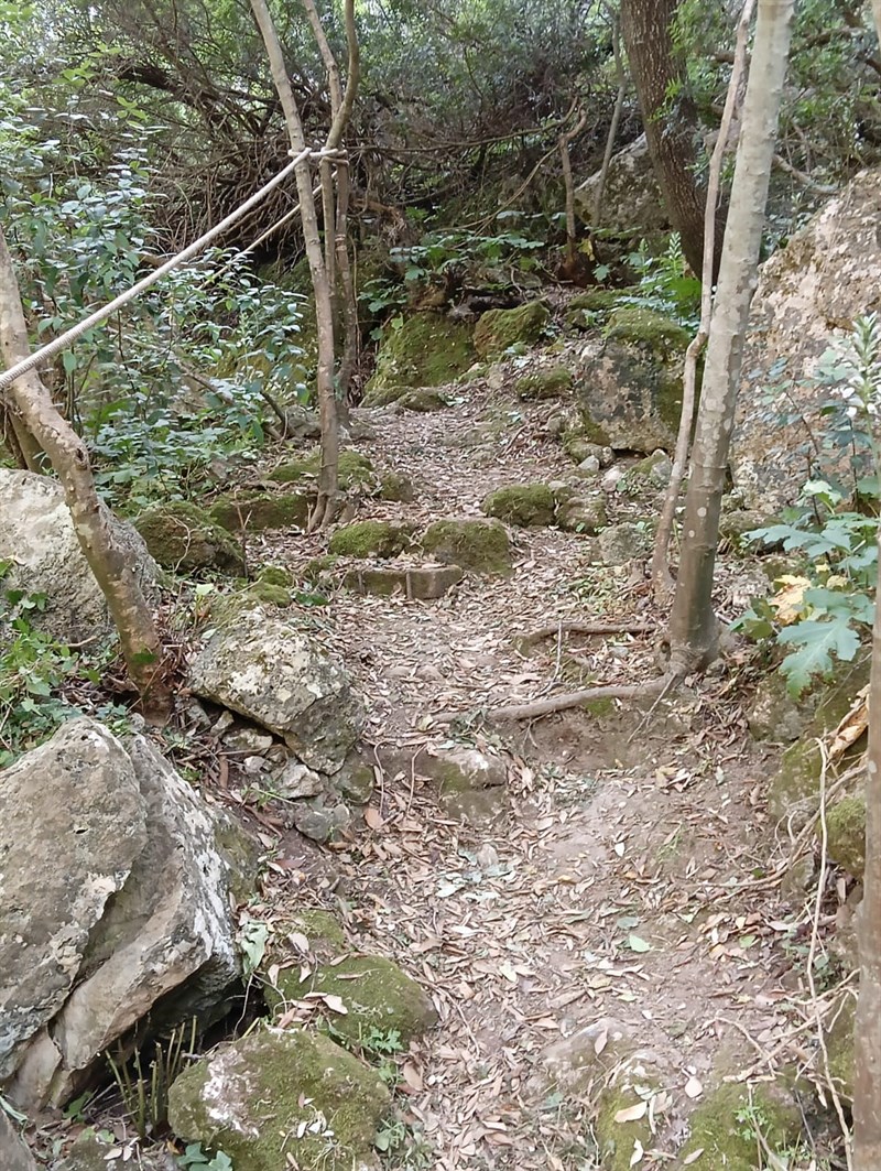 Il percorso che conduce alla grotta del Mago Greguro