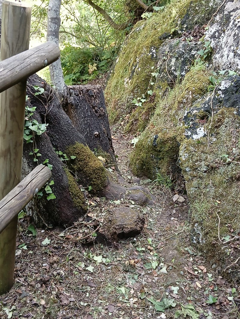 Il percorso che conduce alla grotta del Mago Greguro