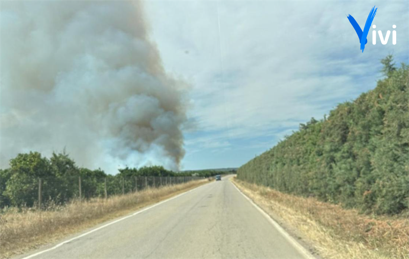 Fiamme in agro di Palagianello