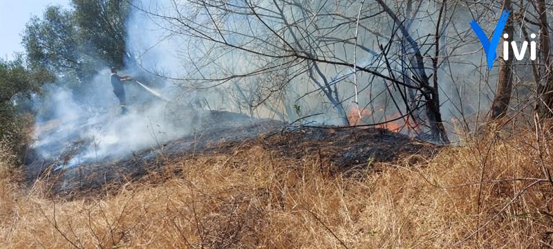 Fiamme in agro di Palagianello