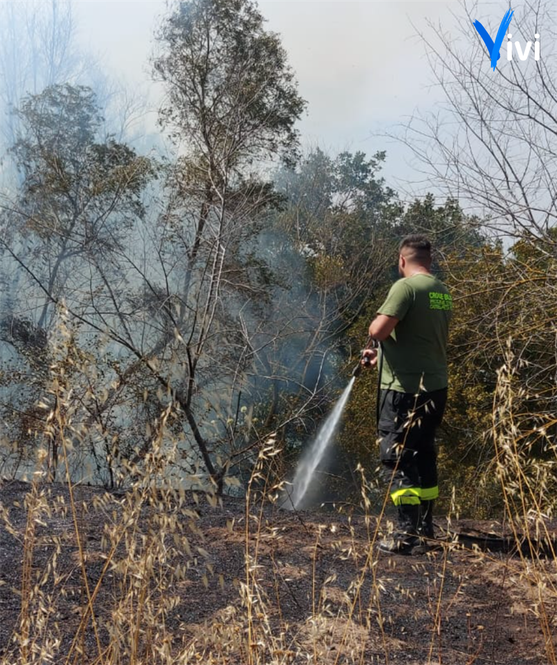 Fiamme in agro di Palagianello