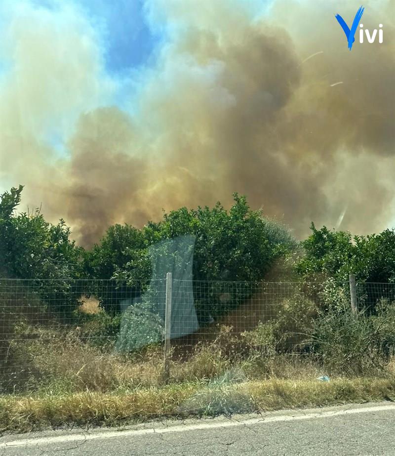 Fiamme in agro di Palagianello