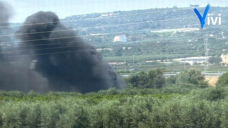 Le fiamme in agro di Palagiano
