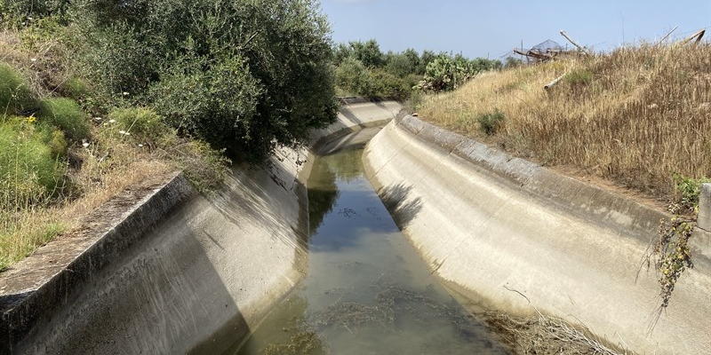 Crisi idrica, la Cia chiede l'attivazione dello stato di calamità
