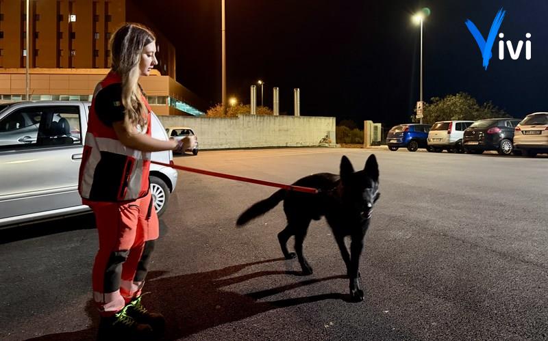 Le ricerche nel cuore della notte