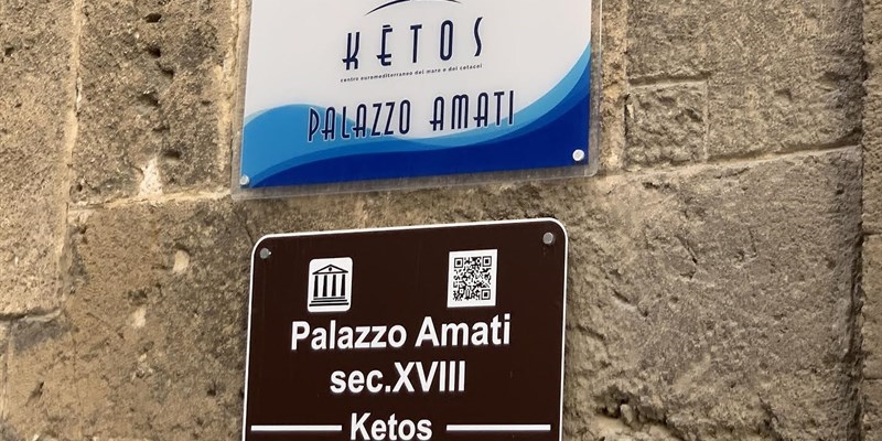 A Taranto una domenica con il “Film Festival Show Your Mind”!