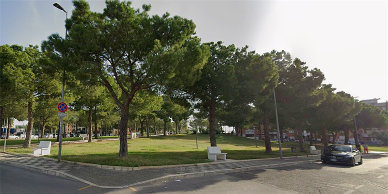 Un fiore contro la violenza: iniziativa in piazza Andreace a Massafra